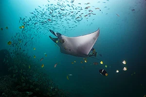 Excursiones, Guía Turística de Manta, Manabí